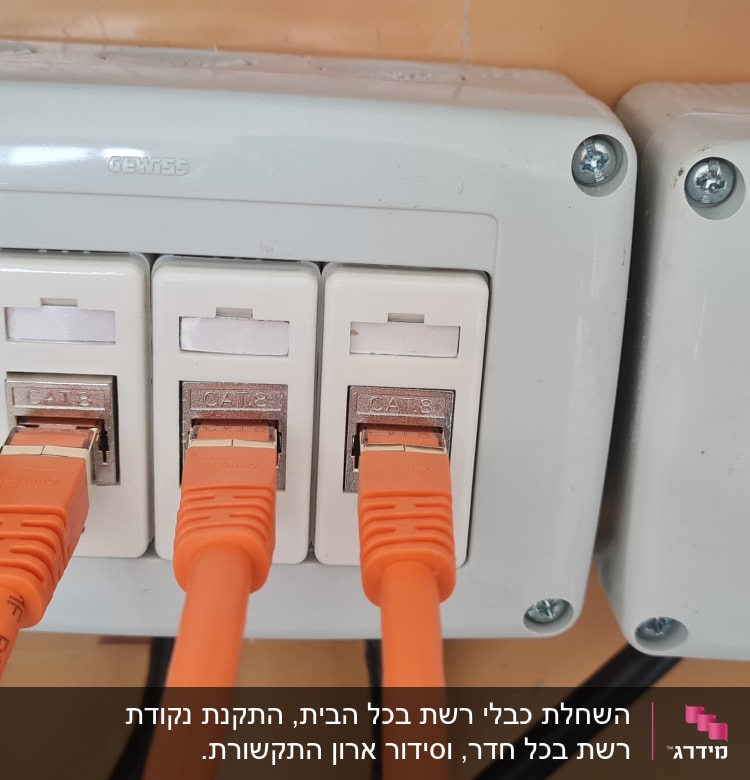 כבלים כתומים מחוברים לשקעים קטגוריה 8